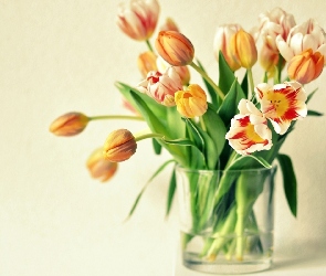 Wazon, Tulipany