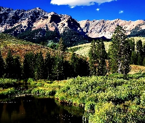Góry, Jezioro, Łąki, Las, Idaho
