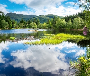 Anglia, Szkocja, Odbicie, Las, Jezioro, Niebo, Góry