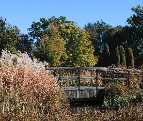 Mostek, Ogród, Jesień