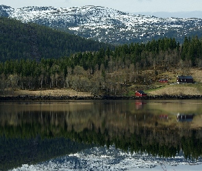 Jezioro, Lasy, Góry