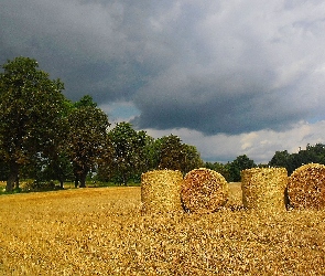 Snopki, Pole, Lato