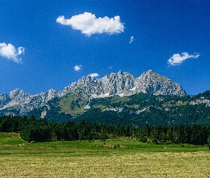 Góry, Łąki, Pola, Lasy