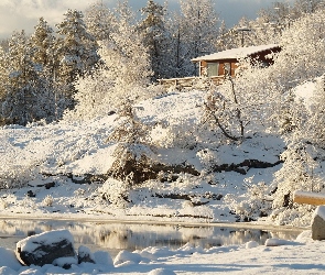 Staw, Dom, Krzewy, Drzewa, Zima