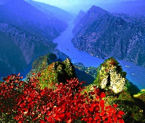 Góry, Kwiatki, Rzeka