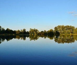 Jezioro, Drzewa