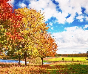Jesień, Drzewa, Jezioro, Chmury, Łąki