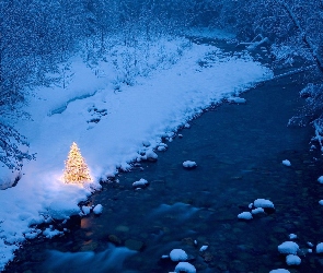 Rzeka, Boże Narodzenie, Choinka, Las, Zima