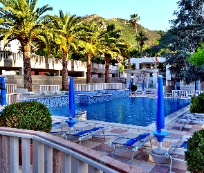 Tropik, Palmy, Hotel, Basen