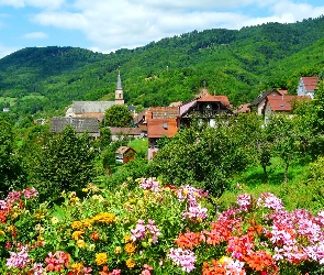 Góry, Kwiaty, Miasteczko