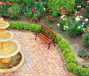 Ławka, Fontanna, Różany, Ogród