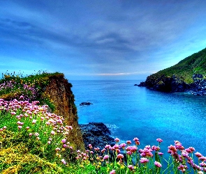 Morze, Kwiatki, Wybrzeże