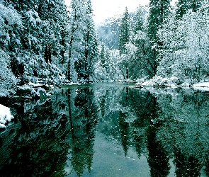 Jezioro, Odbicie, Śnieg, Drzewa