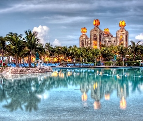 Basen, Bahamy, Nassau, Palmy, Hotel