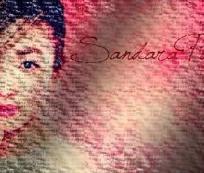 Piosenkarka, Sandara Park, K-Popowa
