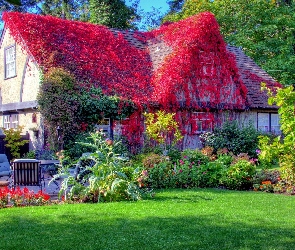Dom, Ogród