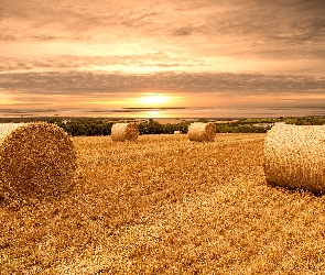 Słońca, Żniwa, Słoma, Pola, Zachód