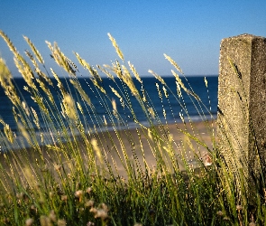 Trawy, Słupek, Morze