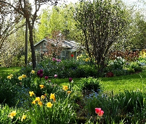 Kwiatowy, Domek, Ogród