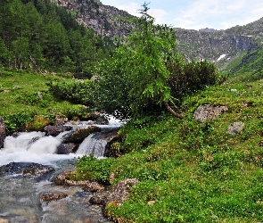 Górski, Lasy, Kamienie, Skały, Potok