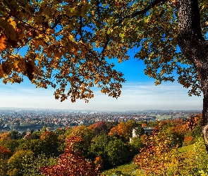 Jesień, Miasta, Panorama, Drzewo