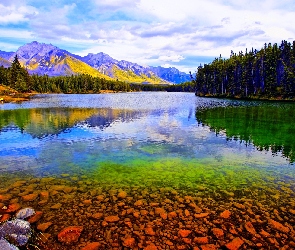 Góry, Lasy, Park Narodowy, Kanada, Banff, Jezioro