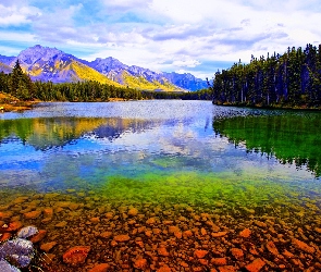 Góry, Lasy, Park Narodowy, Kanada, Banff, Jezioro