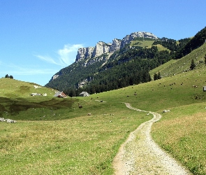 Góry, Ścieżka, Łąka