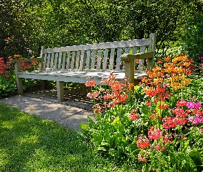 Ogród, Ławka, Kwiaty