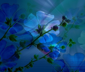 Niebieskie, Tło, Kwiatki