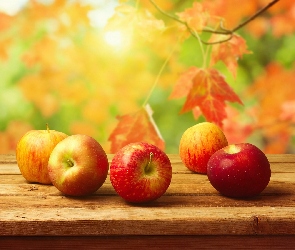 Jabłka, Jesień