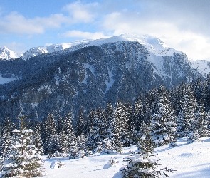 Zima, Chmury, Góry, Śnieg, Drzewa