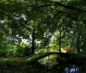 Mostek, Ławeczka, Park