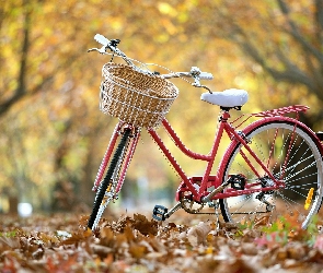 Rower, Jesień, Liście, Park