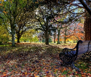 Ławka, Jesień, Park