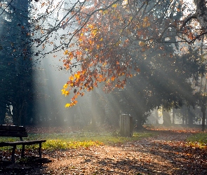 Park, Jesień, Promienie, Słońca, Ławka