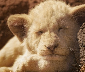 Lwiątko, Śpiące