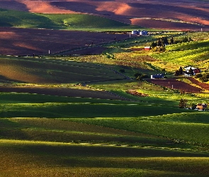 Pola, Wieś, Farmy