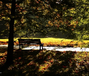 Drzewa, Jesień, Poranek, Ławka, Park