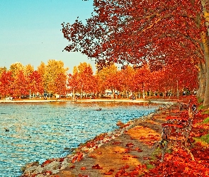 Jesień, Liście, Staw, Park, Kaczki, Ławki