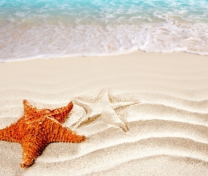 Morze, Rozgwiazdy, Plaża