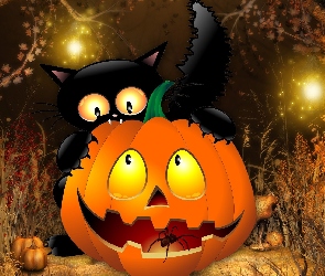 Halloween, Kot, Dynia, Pająk