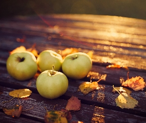 Jesień, Ławka, Jabłka, Liście