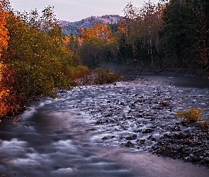 Rzeka, Jesień, Góry, Lasy