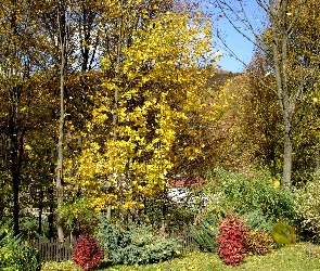 Ogród, Liście