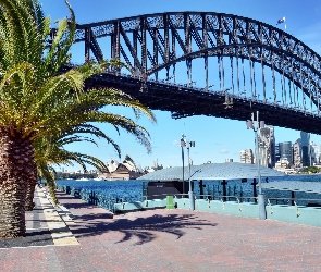 Australia, Palma, Bulwar, Most, Sydney