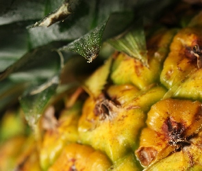 Ananas