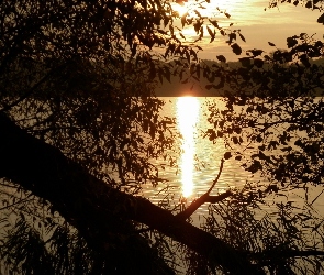 Jezioro, Gałęzie, Słońca, Zachód