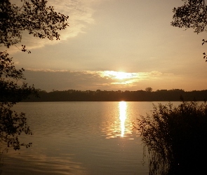 Szuwary, Słońca, Jezioro, Zachód