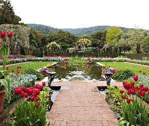 Ogród, Sadzawka, Tulipany